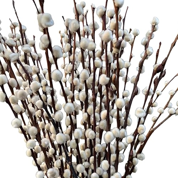 Airboom frischer natürlicher WEIDENKÄTZCHEN Bund 70cm. Hochzeitsdeko Osterdeko Frühlingsstrauß (3) - 3