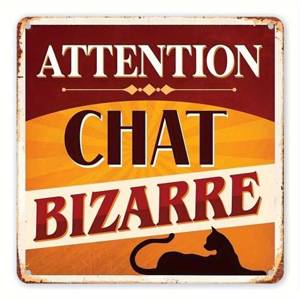 1pc plaque métallique   en aluminium "attention chat - Temu France