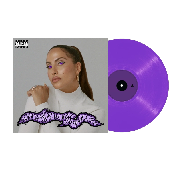 TEMPORARY HIGHS IN THE VIOLET SKIES VINYL RECORD (SPECIAL EDITION) | Default Title