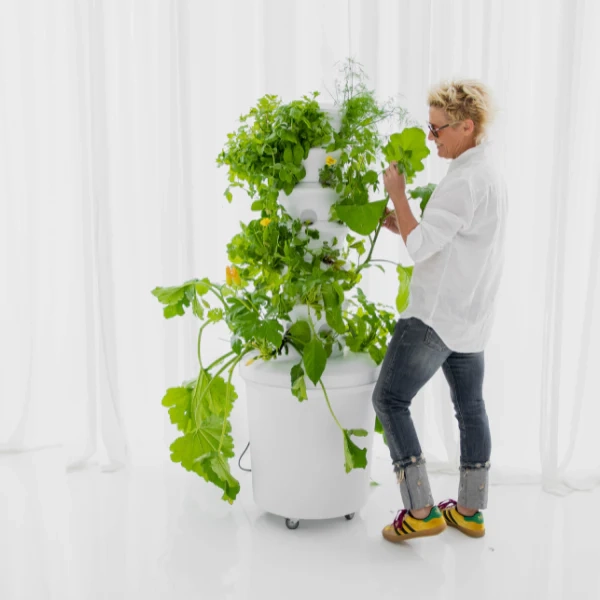 The Airgarden | Default Title