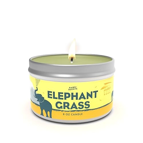 Park Scents Elephant Grass Candle - Inspired by Soarin' Around The World - African Elephant Scene at Disneyworld - Fresh Cut Grass Smell - Natural Soy Blend - Handmade in The USA | 8 oz. Tin