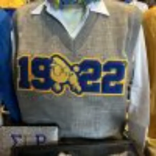 SGRHO Chenille Sweater Vest – Xpress Yourself Sportswear