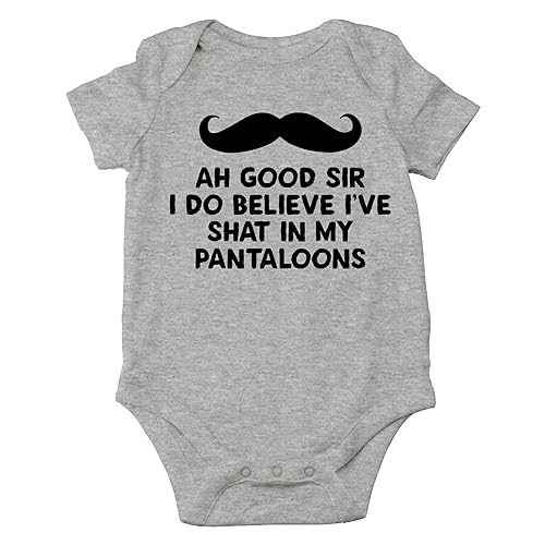 AW Fashions Ah Good Sir, I Do Believe I've Shat My Pantaloons Baby Bodysuit Cute Boy Girl Newborn Outfit - 6 Months - Sports Grey