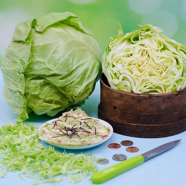 Cabbage Seeds, Golden Acre 