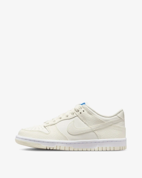 Big Kids' Dunk Low 7 (W 8.5)