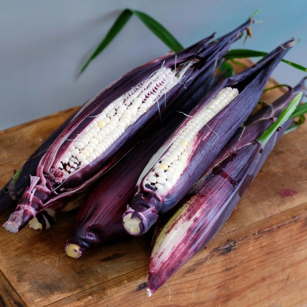 Corn Seeds, Martian Jewels