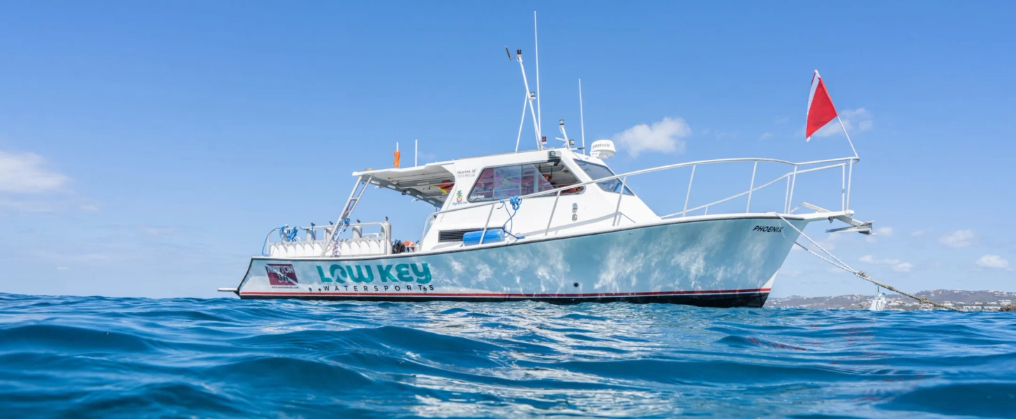 Scuba Diving Tours St John, USVI | Low Key Watersports