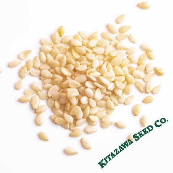 True Leaf Market | True Leaf Market Seed Company