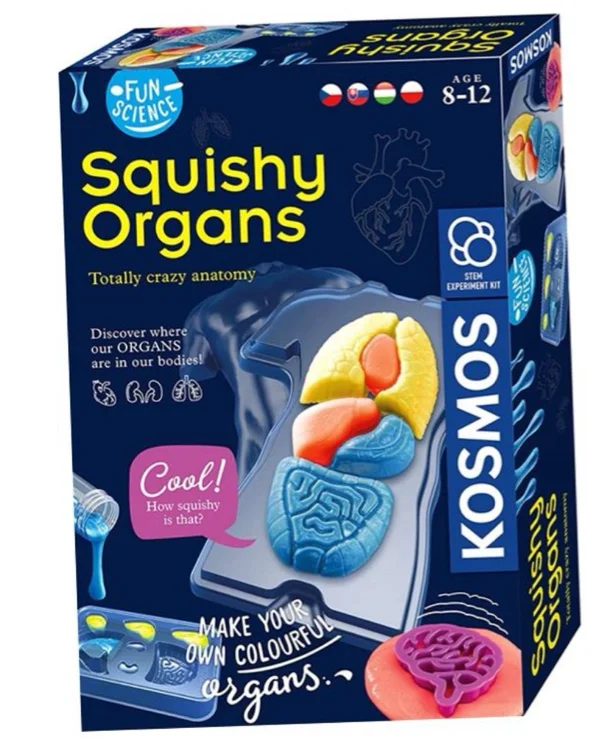 Kosmos FUN SCIENC - SQUISHY ORGANS