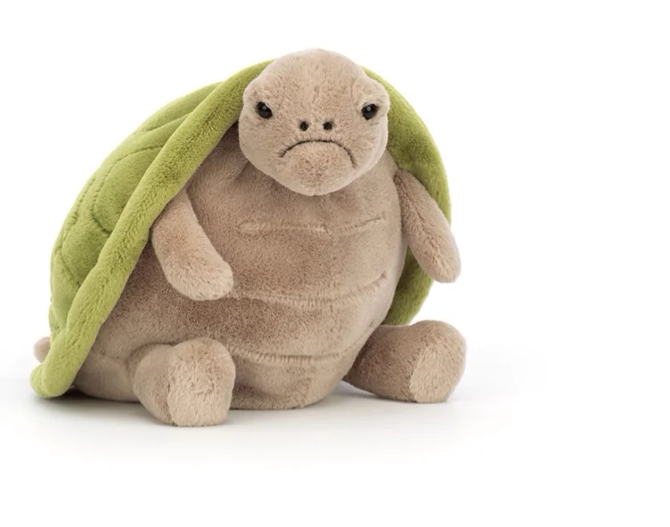 Timmy turtle 