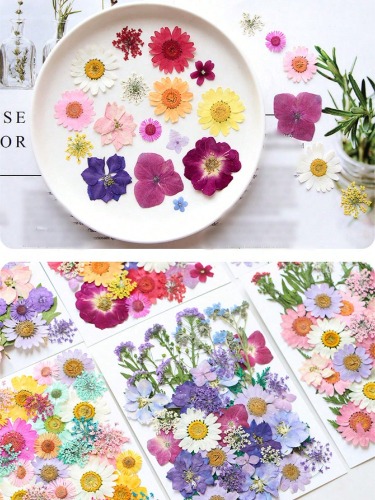 DIY Dried Flowers Daisies Leaves, Hydrangeas, Multiple Natural Pressed Flowers Colorful Decorative Dried Flowers For DIY Craft Resin Jewelry Making Scrapbook Supplies Card Making Soap Candle DIY