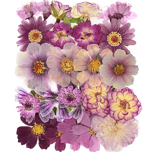 40Pcs Natural Pressed Dried Flowers Resin, Dry Flowers for Resin Accessories, Dried Flower for Scrapbooking DIY Art Crafts, Epoxy Resin Jewelry Molds, Candle, Soap Making, Craft Making - 40pcs 21