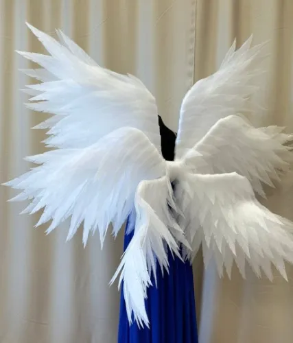 biblical angel wings