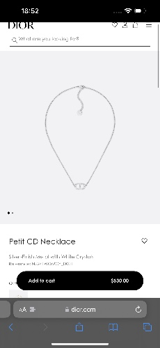 Dior necklace 