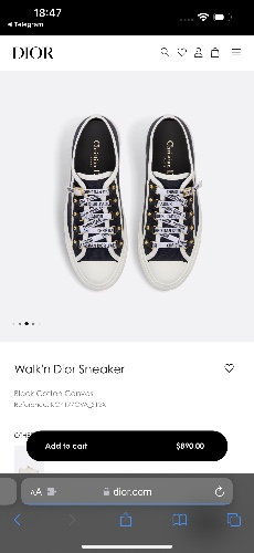 Dior sneakers 