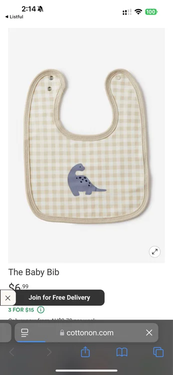 The Baby Bib
