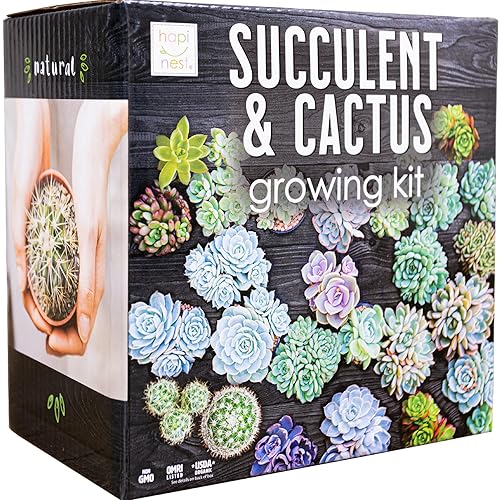 Hapinest Succulent and Cactus Seed Starter Growing Kit Gardening Plant Gifts for Men Women Teens and Kids