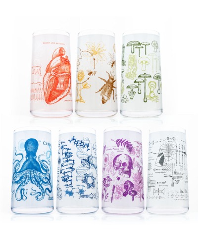 Vintage Science Drinking Glassware Set of 7 | Default Title
