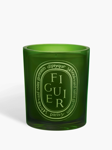 Figuier (Fig Tree) - Medium Candle