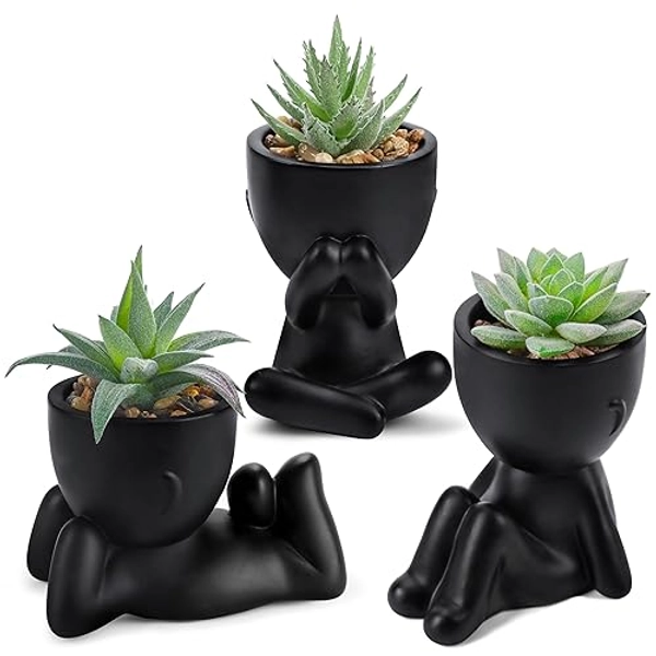 Der Rose 3pcs Fake Succulents Plants Artificial for Black Bathroom Bedroom Home Room Decor Aesthetic Indoor - Black