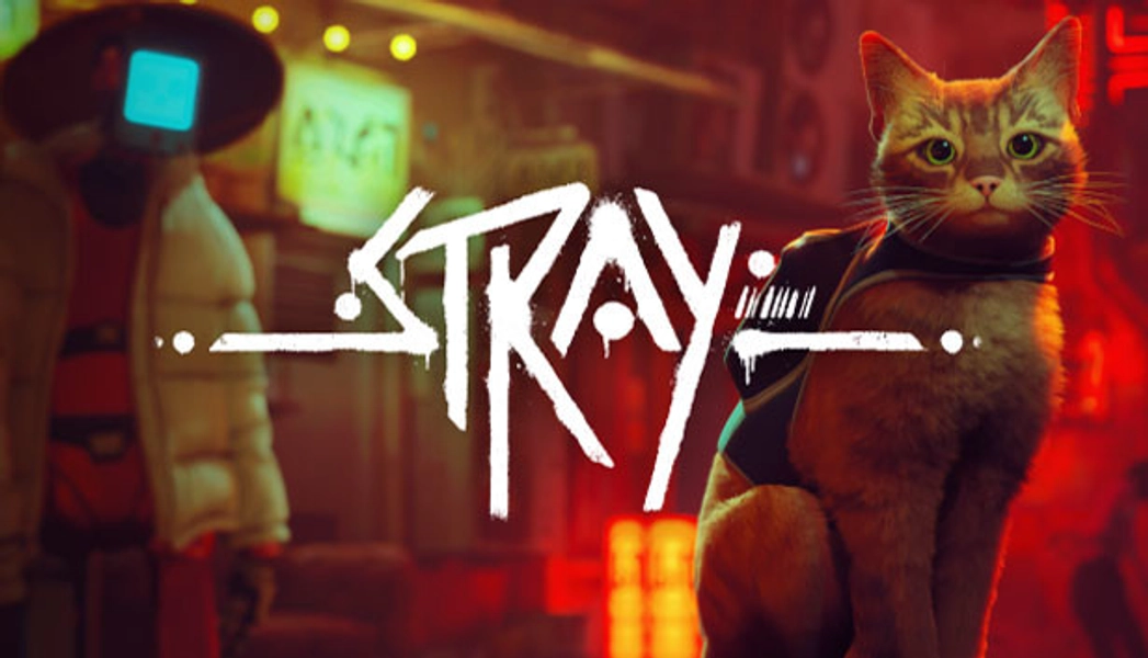 Stray 