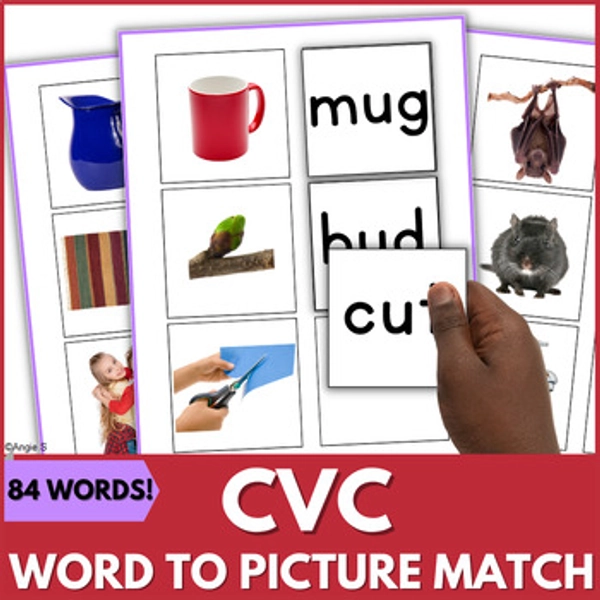 CVC Match Words to Pictures Rhyming Words ESL Autism Special Education