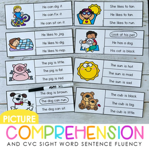 Picture Comprehension and CVC Sight Words Sentence Fluency