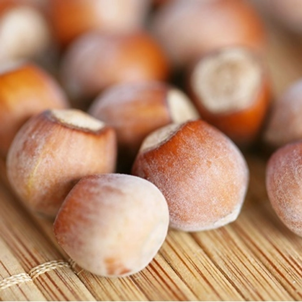 Nut : HAZELNUT  45-100cm   (18-36")  On Own Root