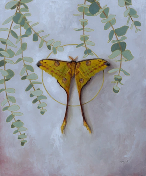 Eucalyptus Fire Print 5”x7”