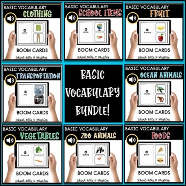 BUNDLE OF BASIC VOCABULARY
