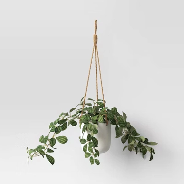 hanging plant