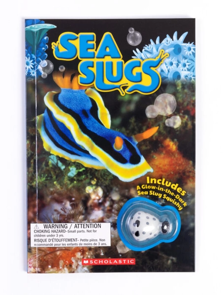 Sea Slugs w/Squishy | The Scholastic Parent Store