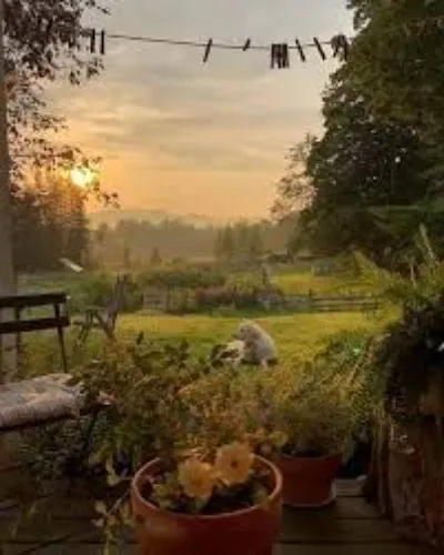 20 Acre Homestead