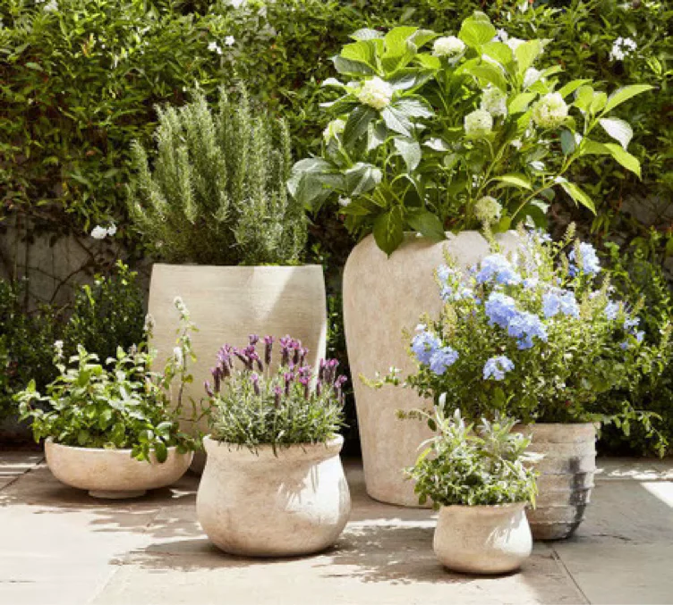 Artisan Handcrafted Cachepots