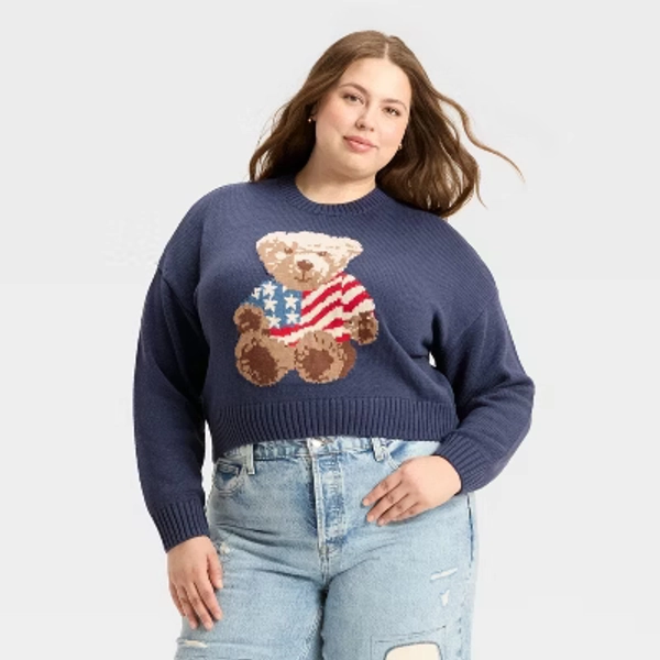 Women's Teddy Bear Flag Graphic Sweater - Navy 3X