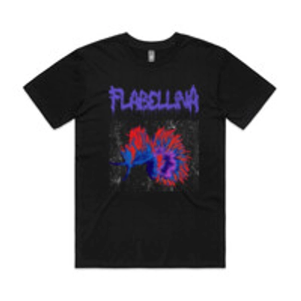 Flabellina iodinea | Sea Slug