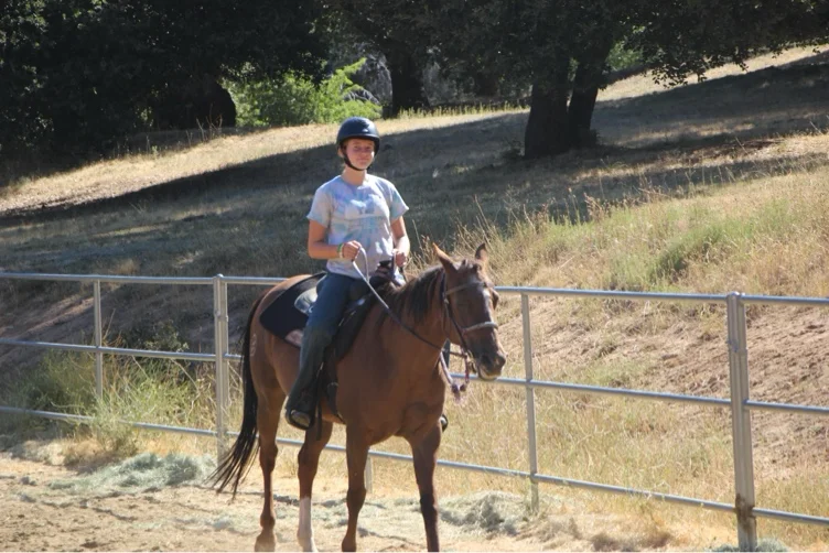 HORSEYYYYY 🥺🥺🥺🥺🥺🥺🥺🥺🥺🥺🥺🥺🥺🥺