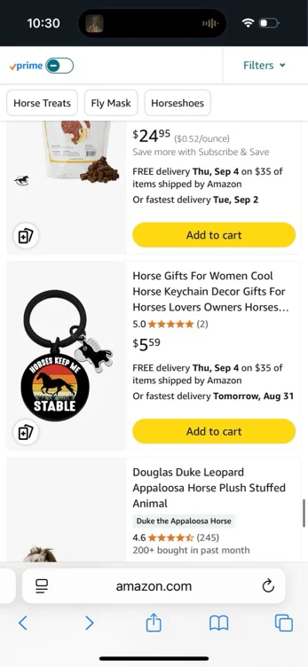 Key chain 