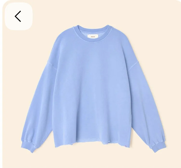 Blue sweater 