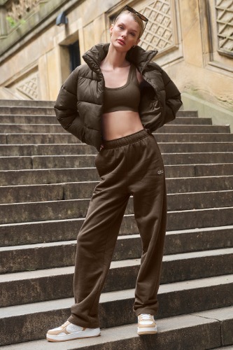 Accolade Straight Leg Sweatpant - Espresso | Espresso / XS