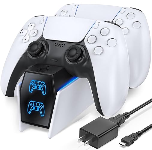 Any PS5 Controller Charger