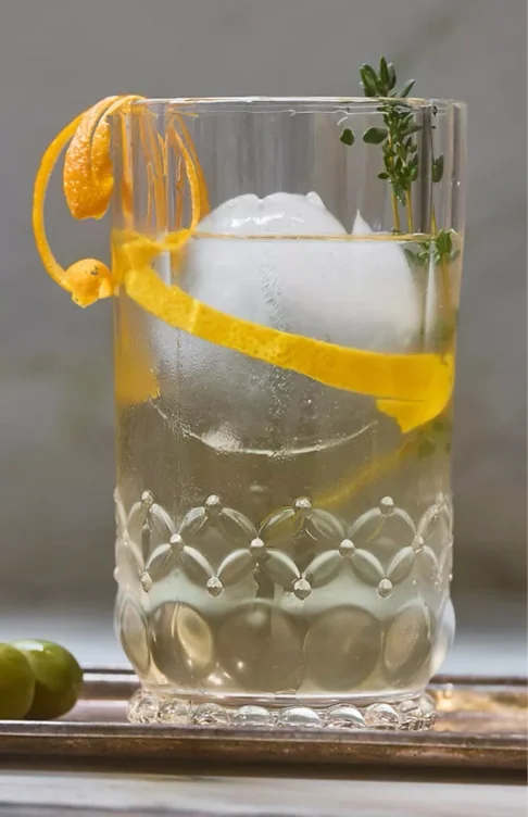 Savannah Tumbler Glasses, Set of 4
