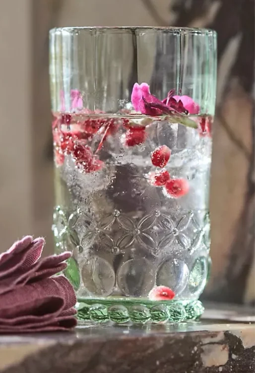 Savannah Tumbler Glasses, Set of 4