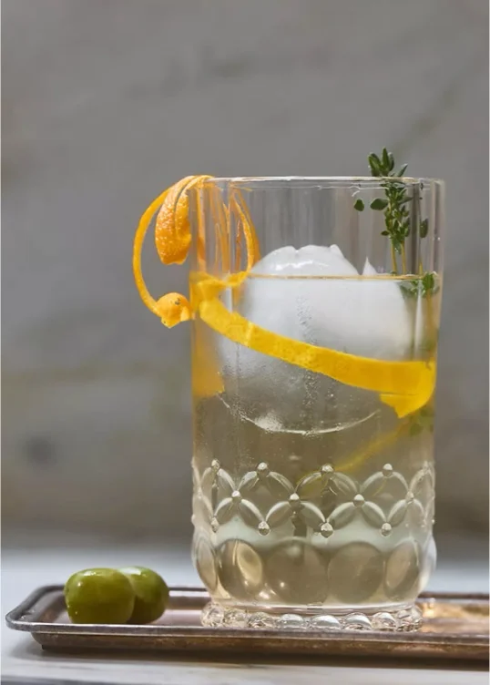 Savannah Clear Tumbler Glasses, Set of 4