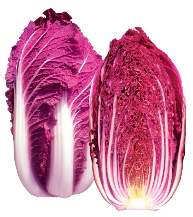 Purple Napa Cabbage Seeds
