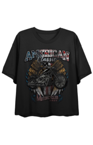 Hi-Octane Customs Motorcycles Cropped T-Shirt | PacSun