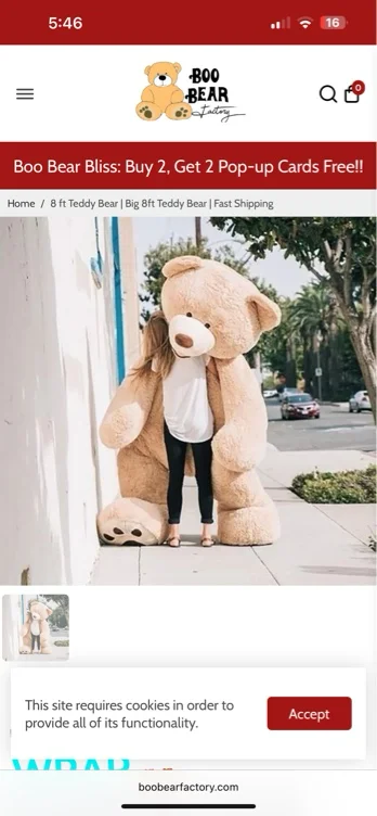 8 foot teddy bear