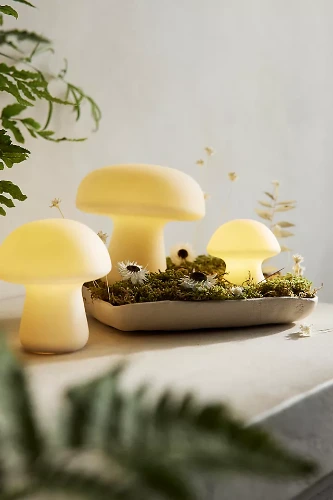 Mushroom LED Light