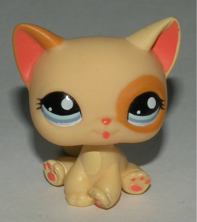 #1521(G2)