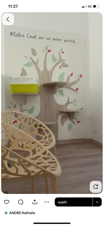 Repisas de madera 